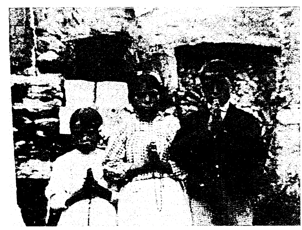 The three seers in the Marto yard, Aljustrel, 13 September 1917: Book scan