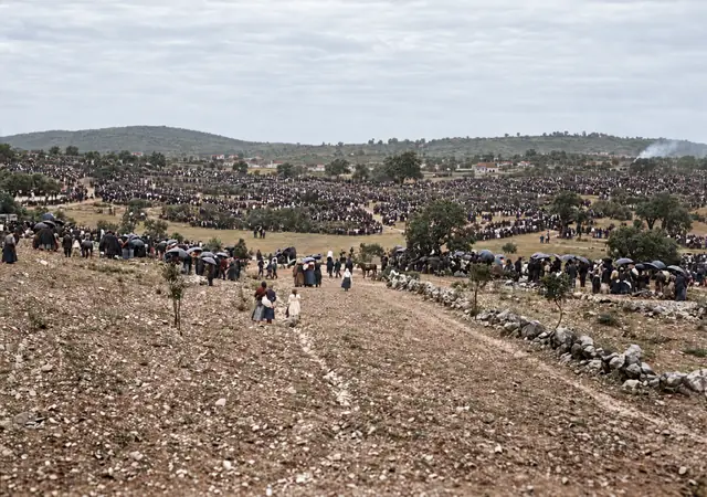 Panoramic view of the Cova da Iria from the macadam road, 13 October 1917