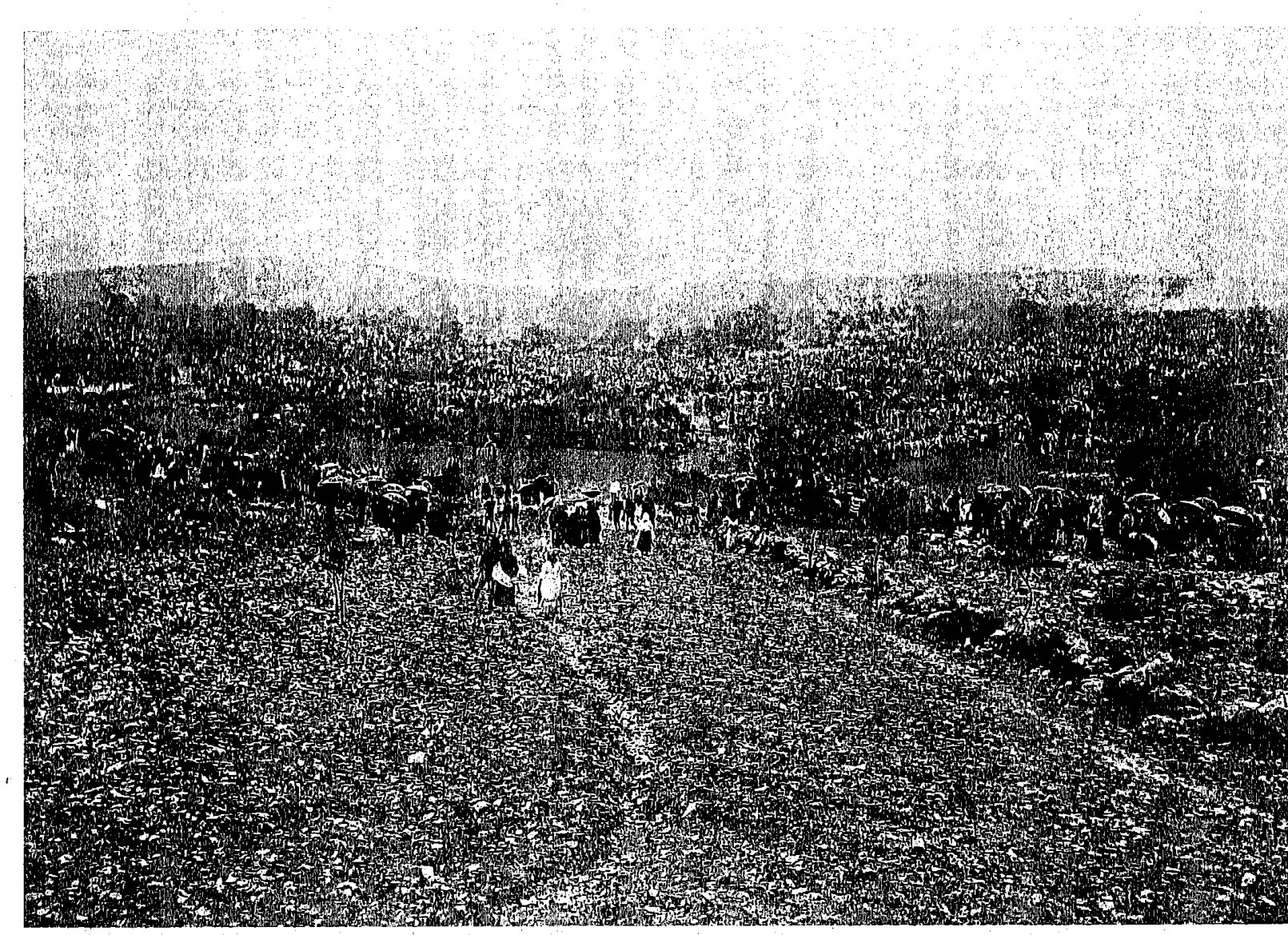 Panoramic view of the Cova da Iria from the macadam road, 13 October 1917: Book scan