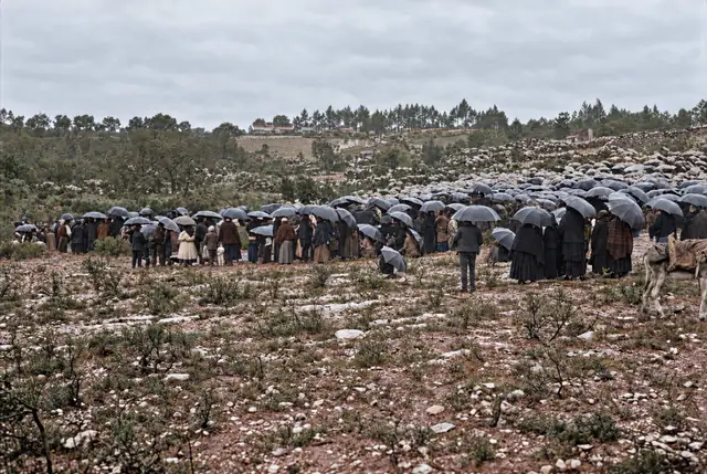 Crowd sheltering under umbrellas, Cova da Iria, 13 October 1917