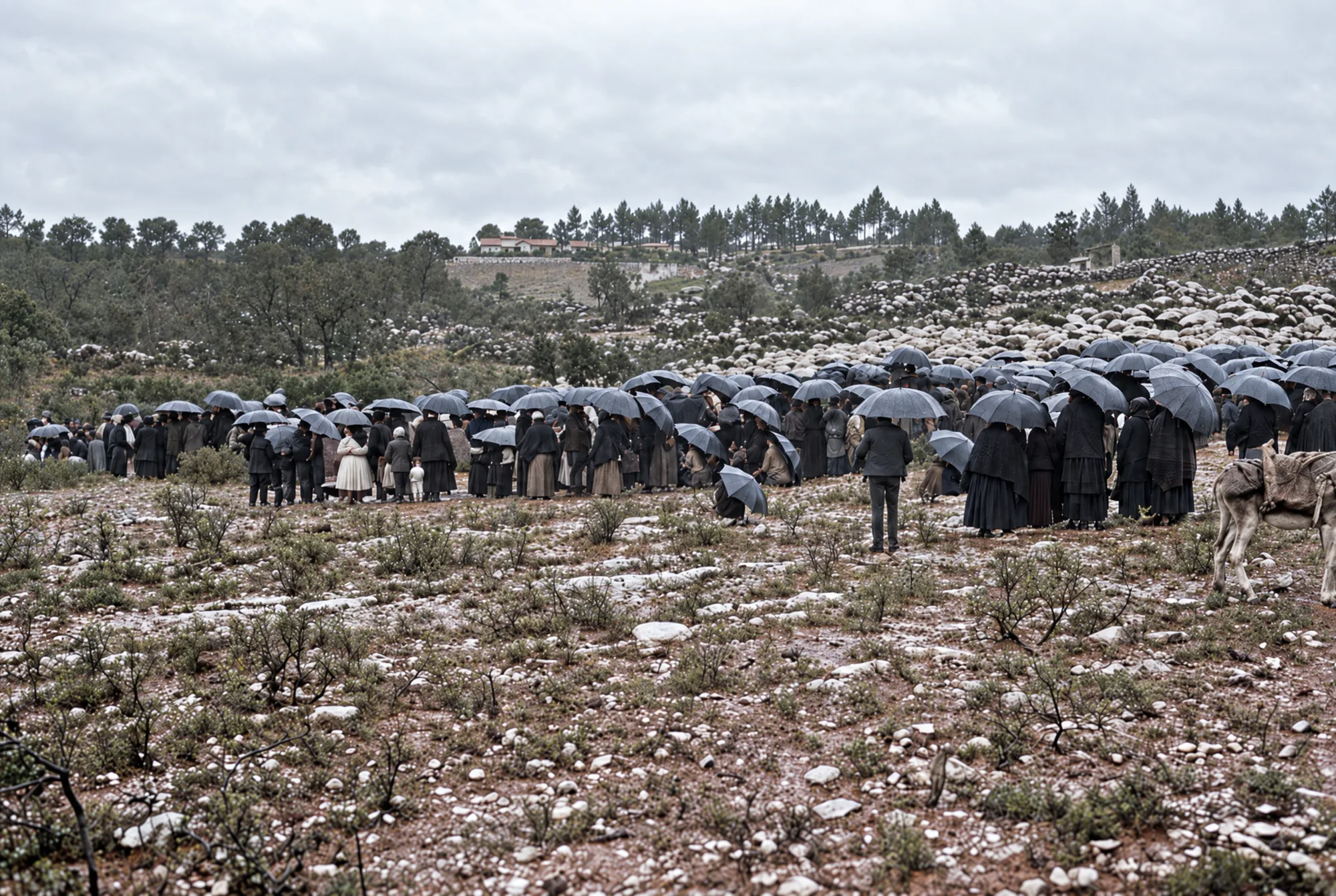 Multidão a abrigar-se sob os guarda-chuvas, Cova da Iria, 13 de outubro de 1917: Cor (IA)