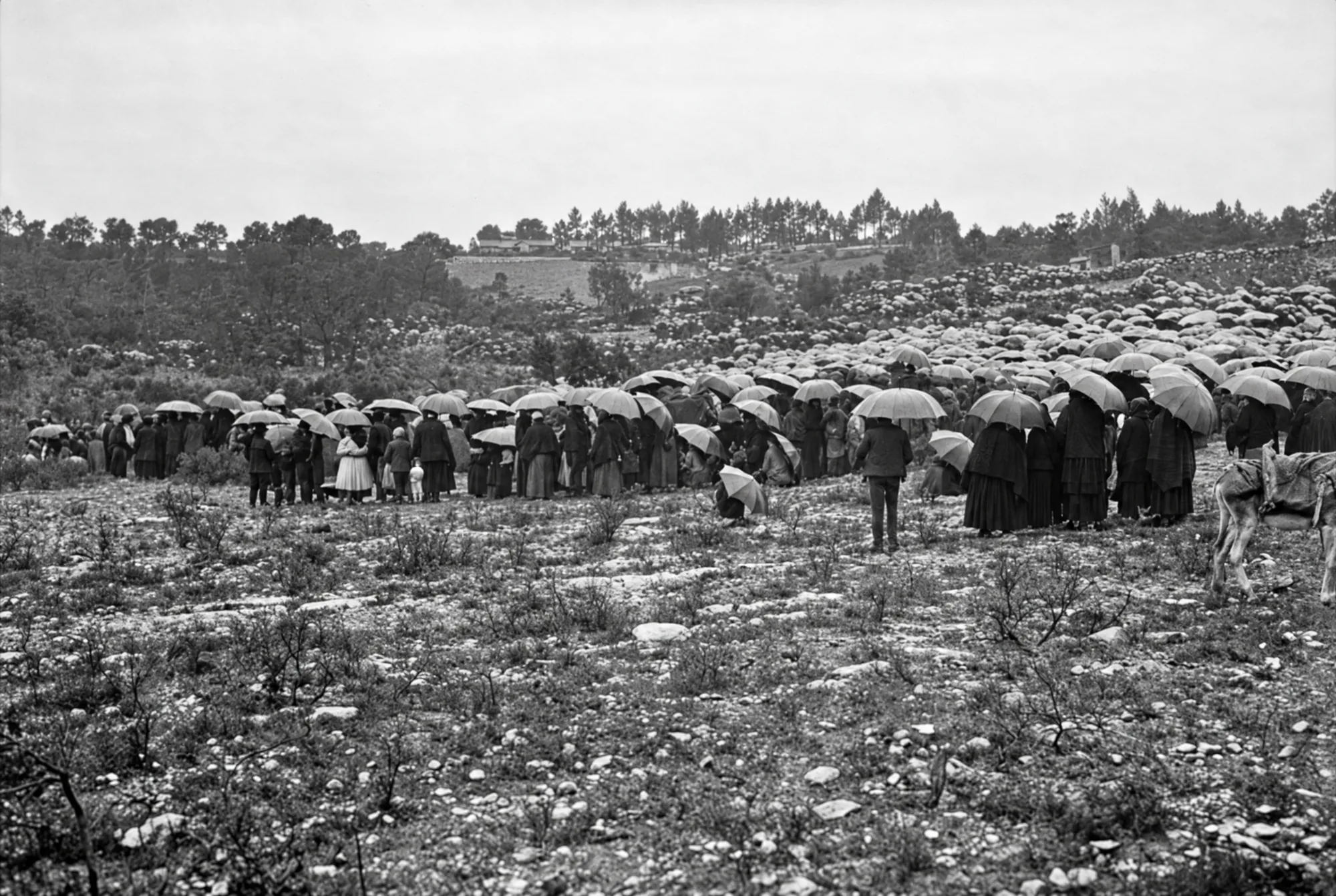 Crowd sheltering under umbrellas, Cova da Iria, 13 October 1917: Restored (AI)