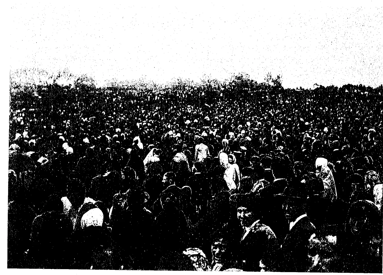 Crowd at the Cova da Iria, 13 October 1917 (unpublished negative): Book scan